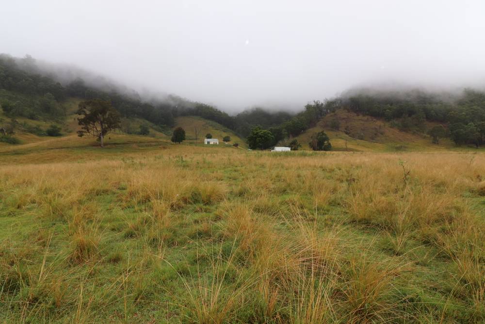 95 Smiths Creek Road, Lower Creek, NSW 2440