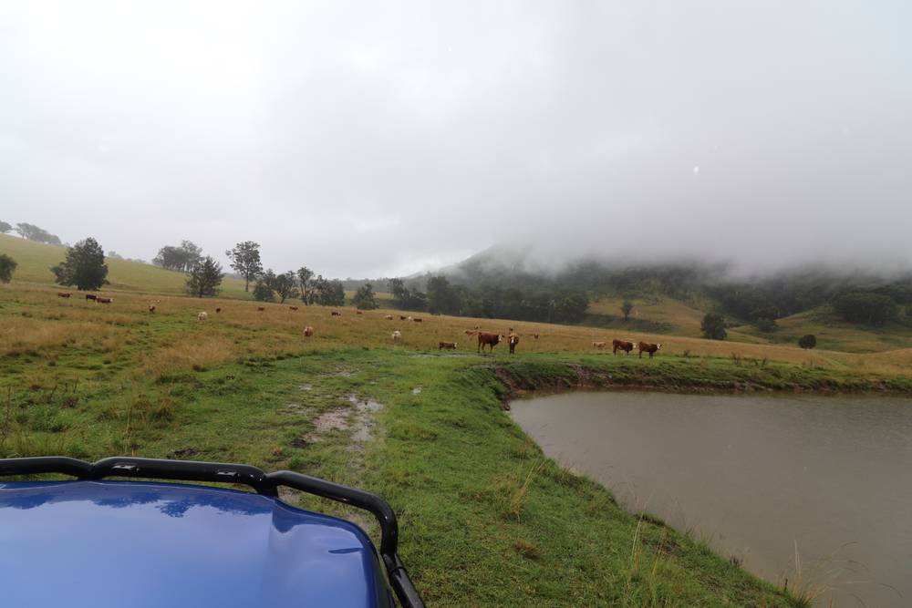 95 Smiths Creek Road, Lower Creek, NSW 2440