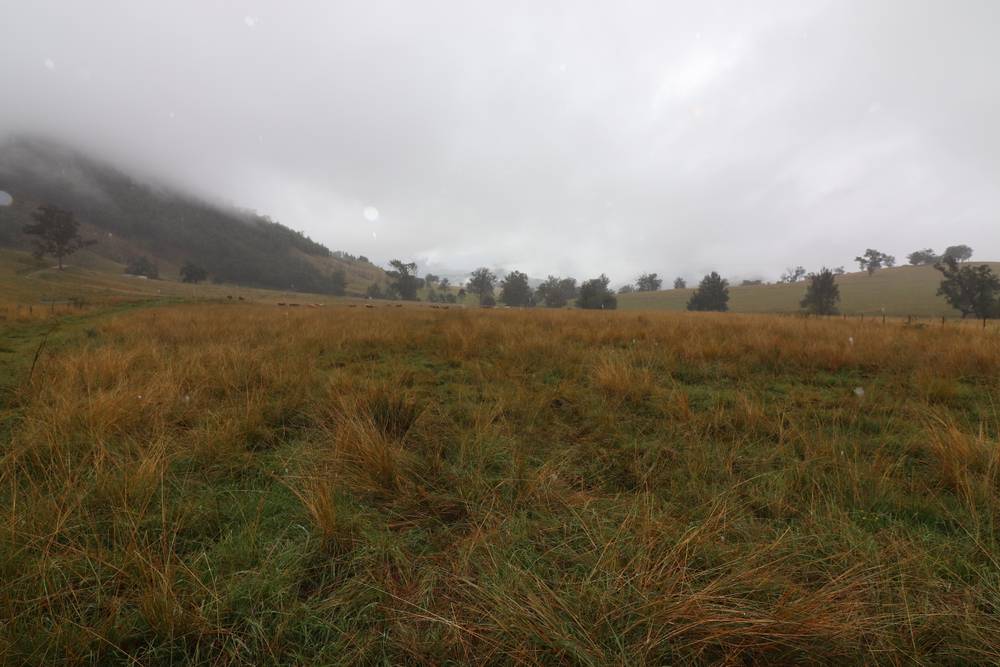 95 Smiths Creek Road, Lower Creek, NSW 2440