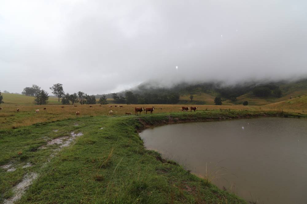 95 Smiths Creek Road, Lower Creek, NSW 2440