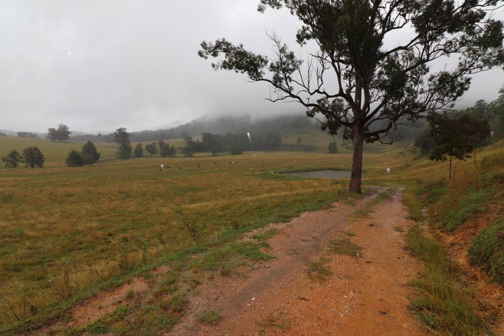 95 Smiths Creek Road, Lower Creek, NSW 2440