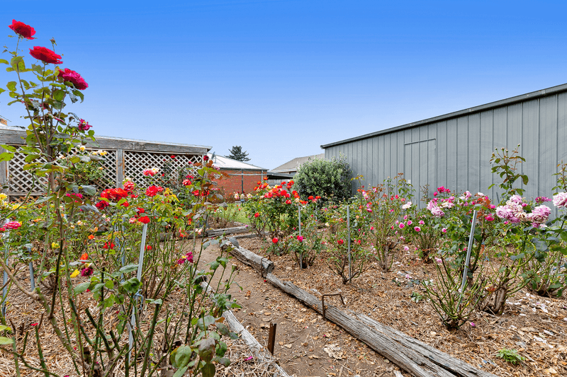 37 Harbour Drive, SEBASTOPOL, VIC 3356