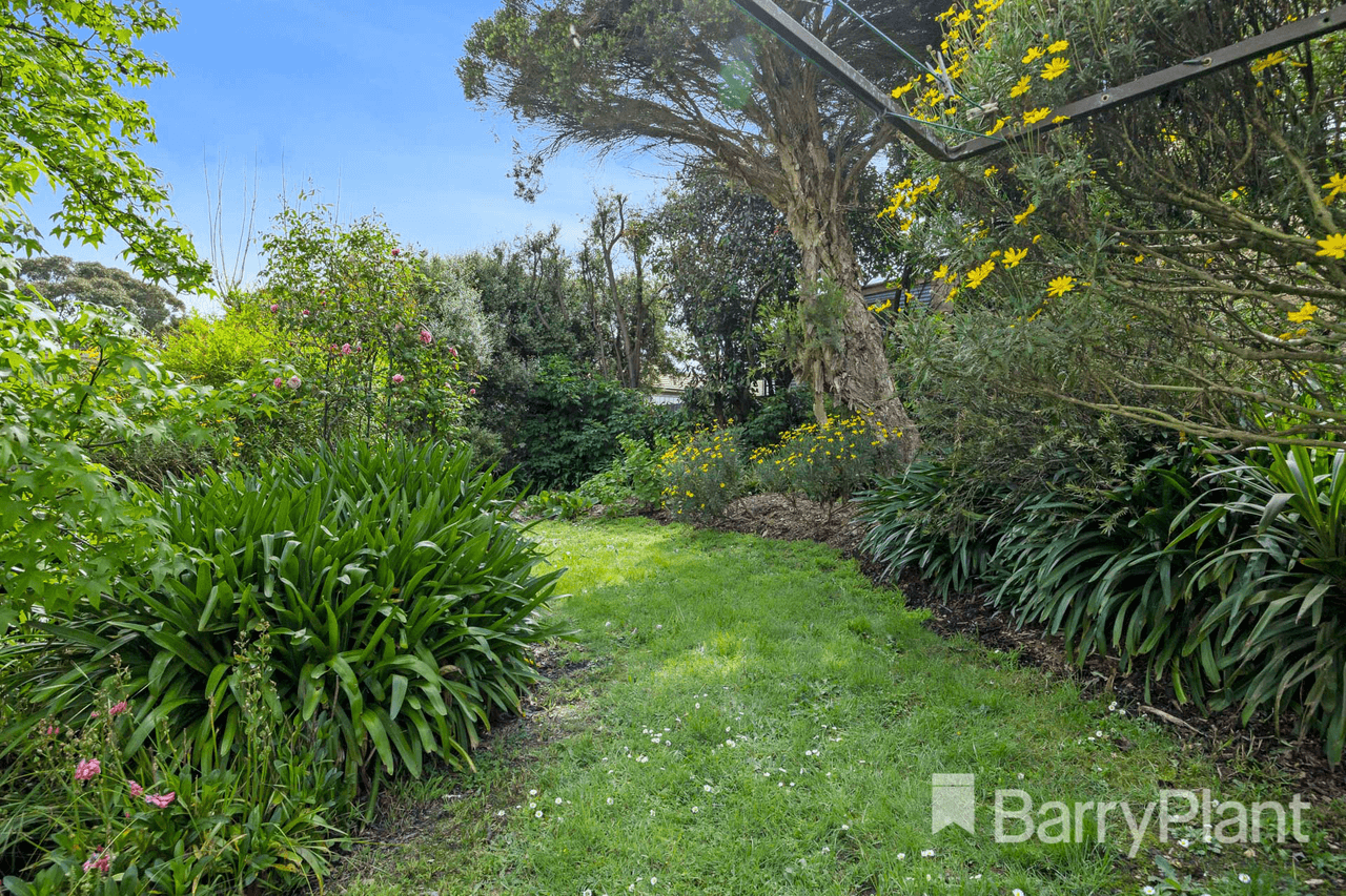 12 Heales Street, Mount Pleasant, VIC 3350