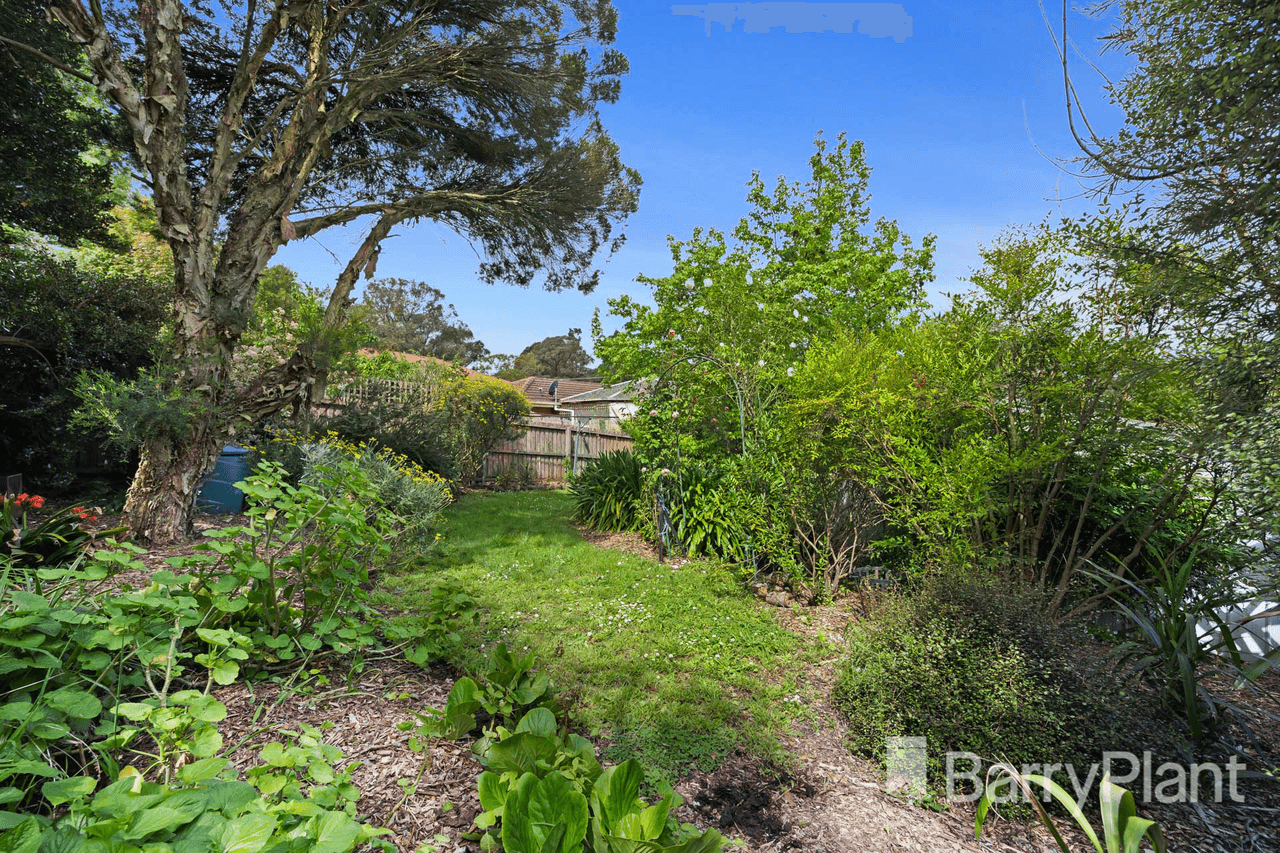 12 Heales Street, Mount Pleasant, VIC 3350