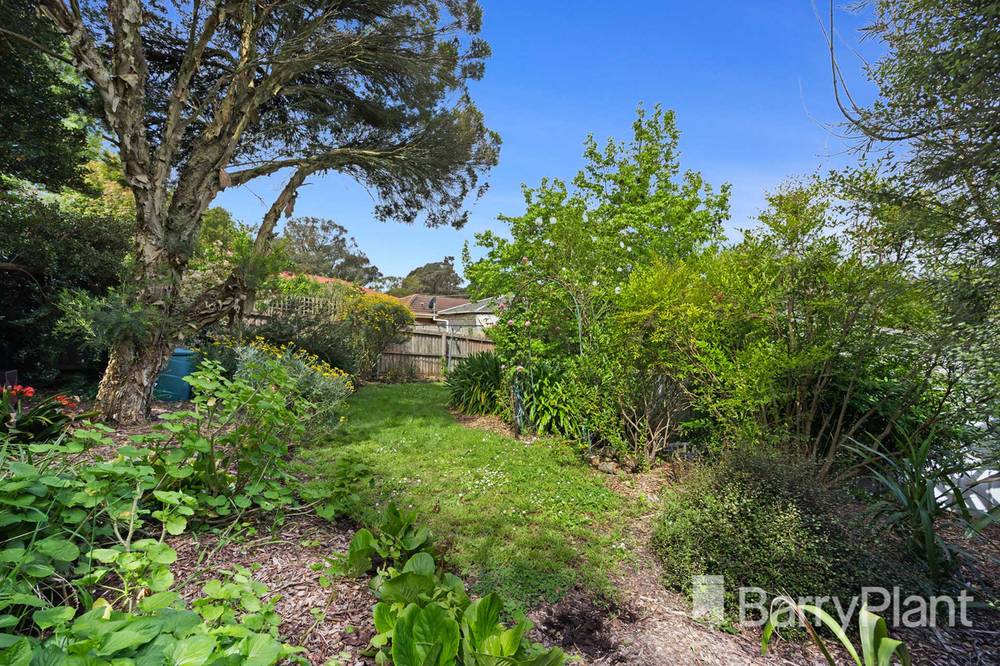 12 Heales Street, Mount Pleasant, VIC 3350