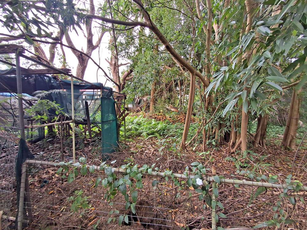 18 Byron Street, Mackay, QLD 4740