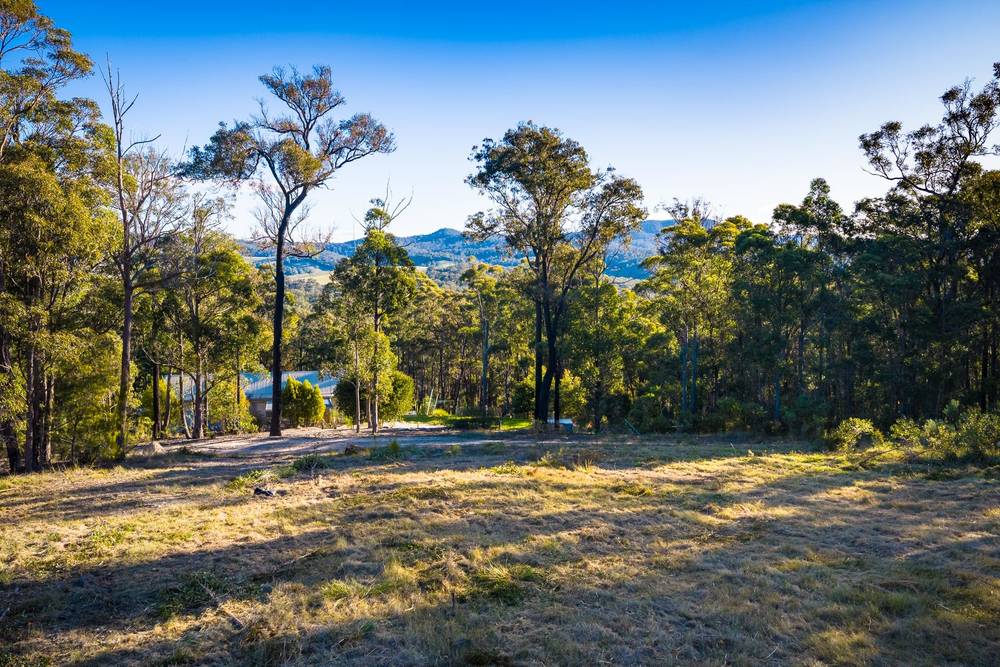 Millingandi Short Cut Road, Millingandi, NSW 2549