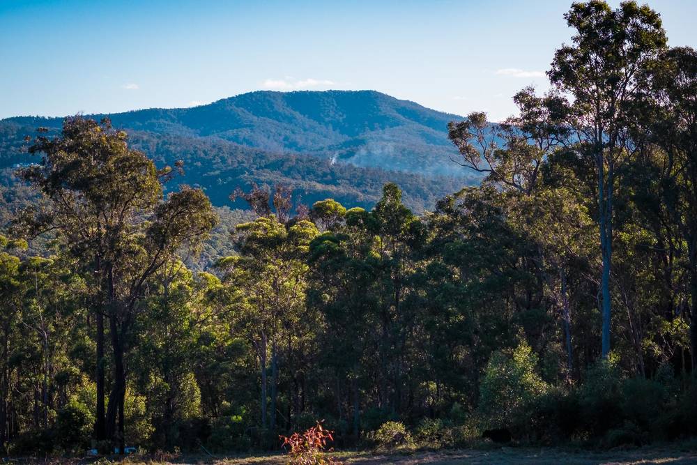 Millingandi Short Cut Road, Millingandi, NSW 2549