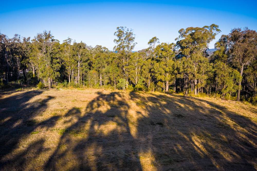 Millingandi Short Cut Road, Millingandi, NSW 2549