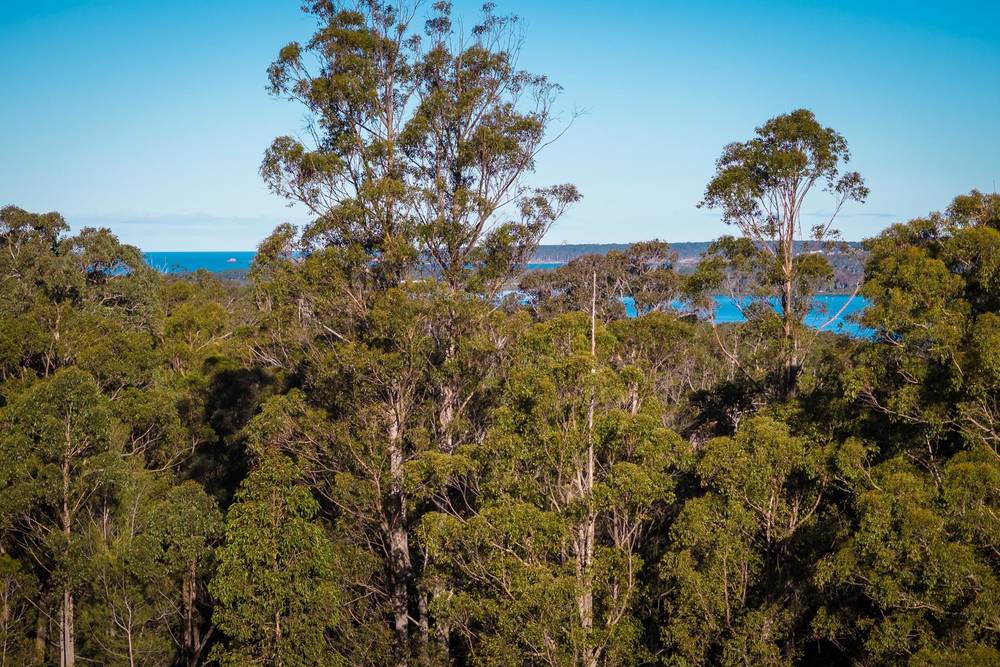 Millingandi Short Cut Road, Millingandi, NSW 2549
