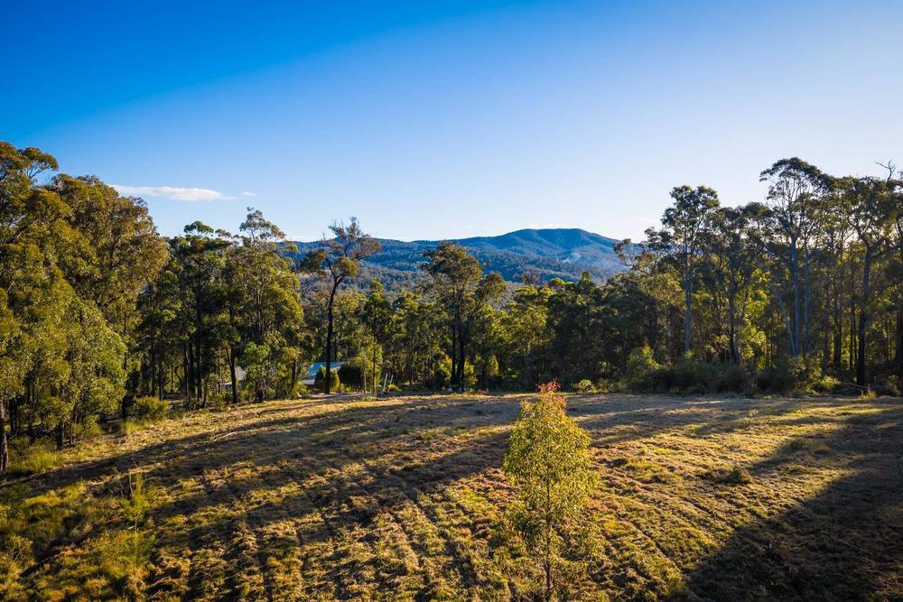 Millingandi Short Cut Road, Millingandi, NSW 2549