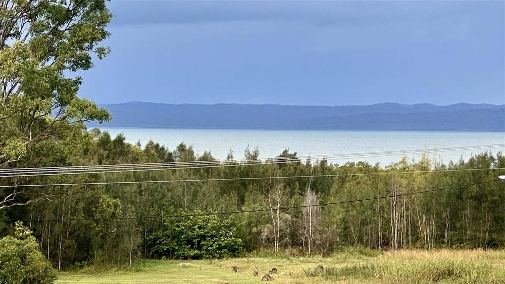 4 Petrel Avenue, RIVER HEADS, QLD 4655