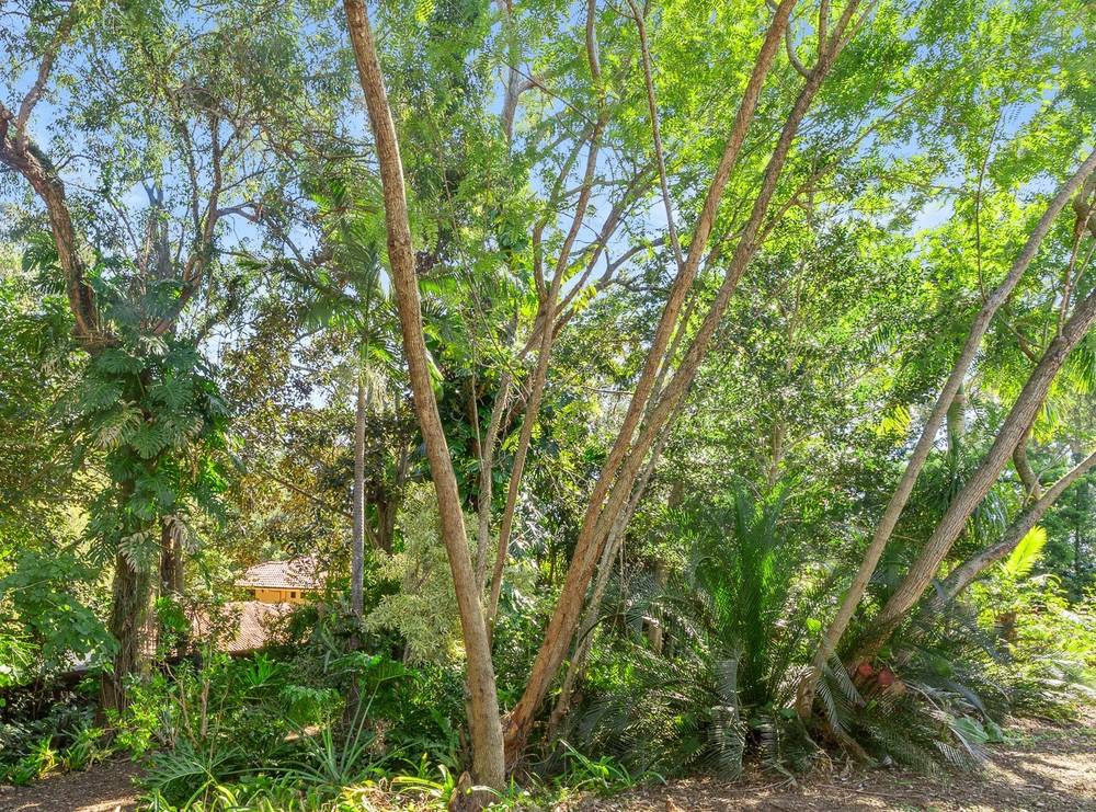 16 Cubberla Street, Fig Tree Pocket, QLD 4069
