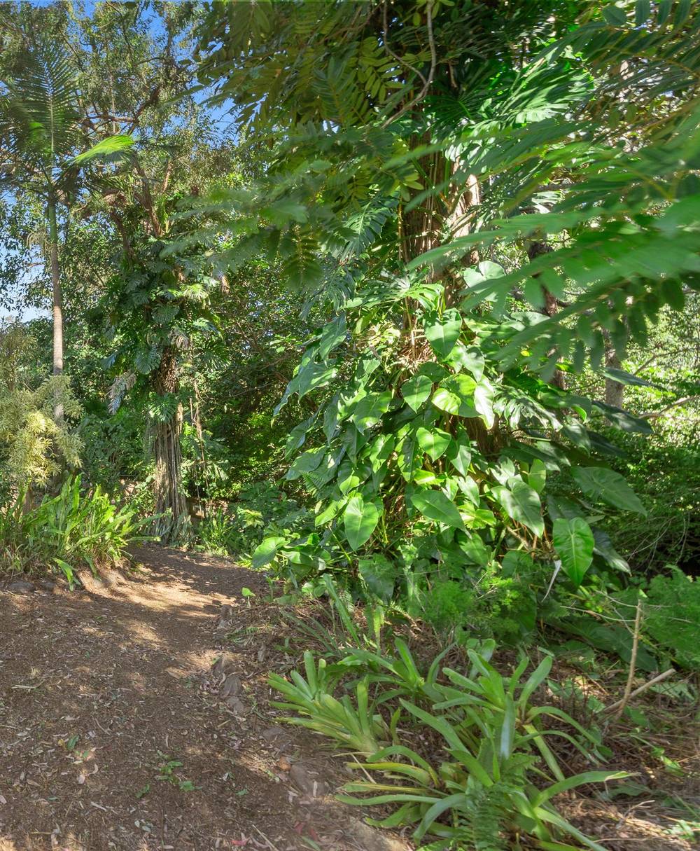 16 Cubberla Street, Fig Tree Pocket, QLD 4069