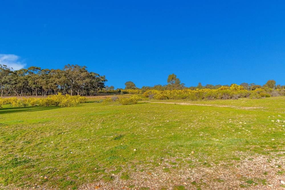 89 Caldow Road, Woodvale, VIC 3556