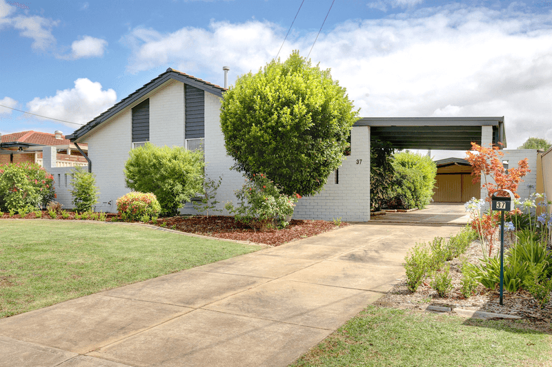 37 The Parade, Holden Hill, SA 5088