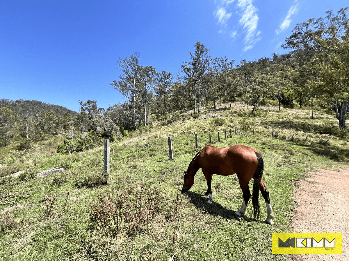 1440 Gorge Road, Heifer Station, NSW 2460