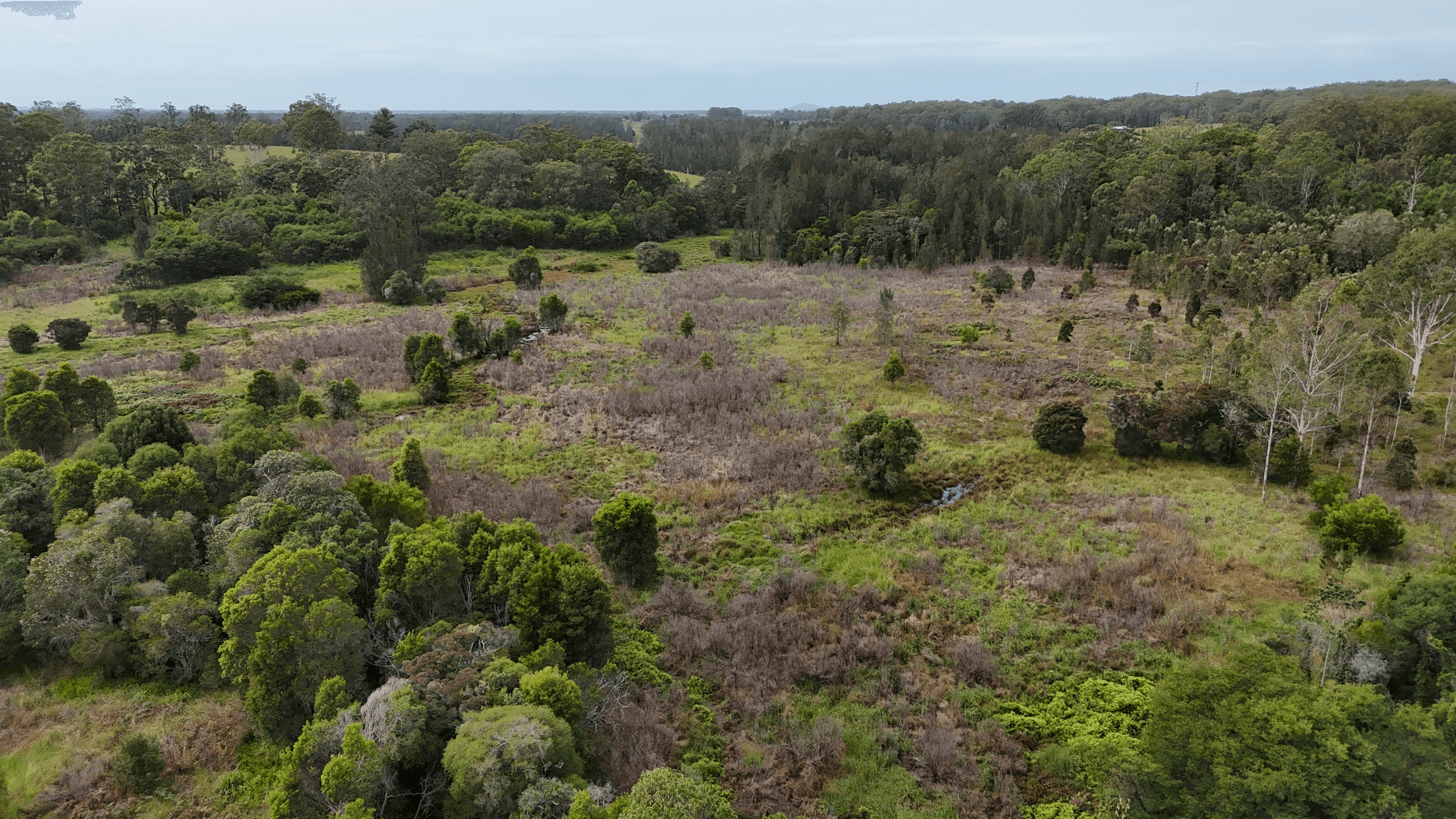 Lot 92 Tamban Road, Collombatti, NSW 2440