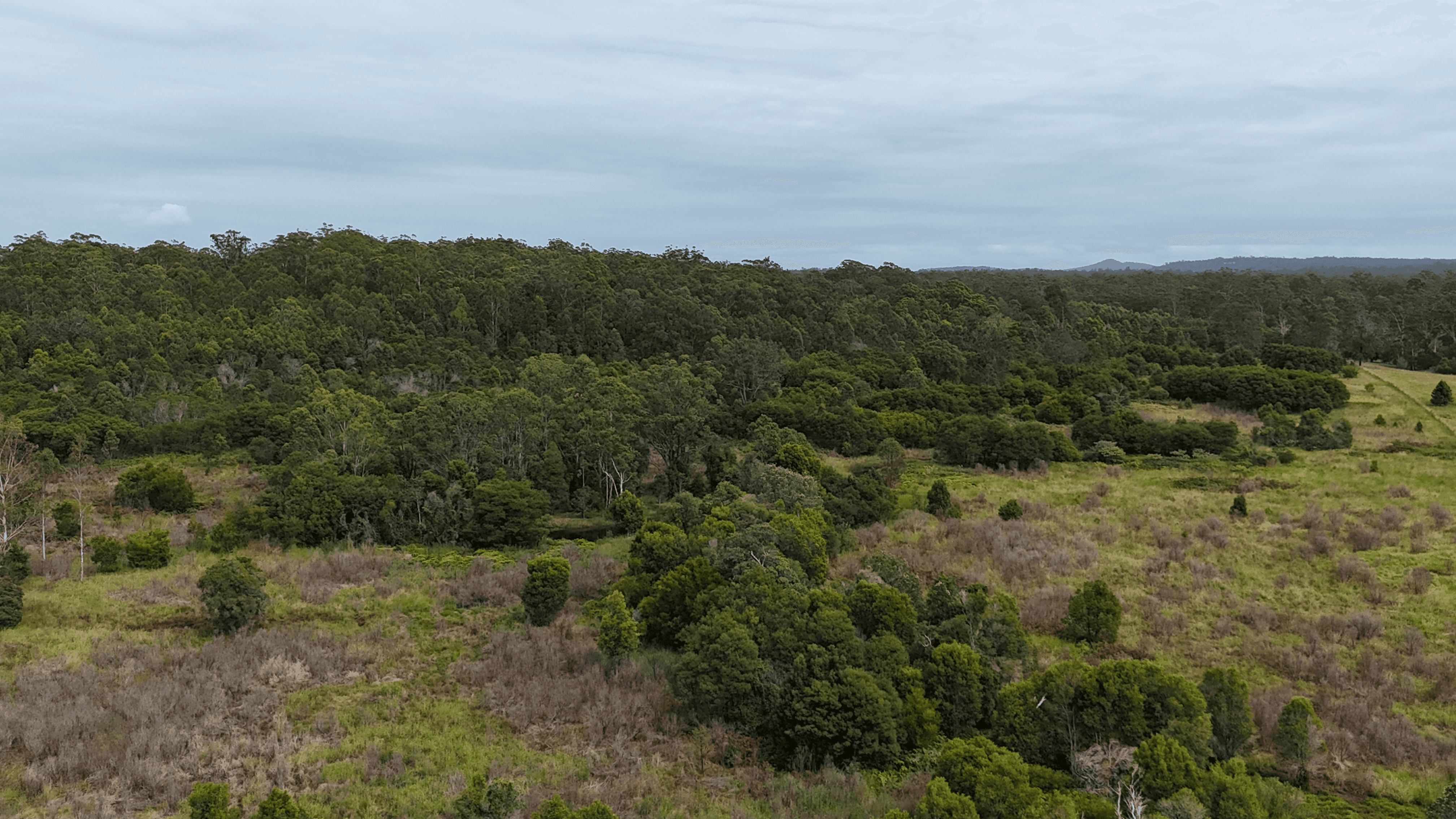 Lot 92 Tamban Road, Collombatti, NSW 2440