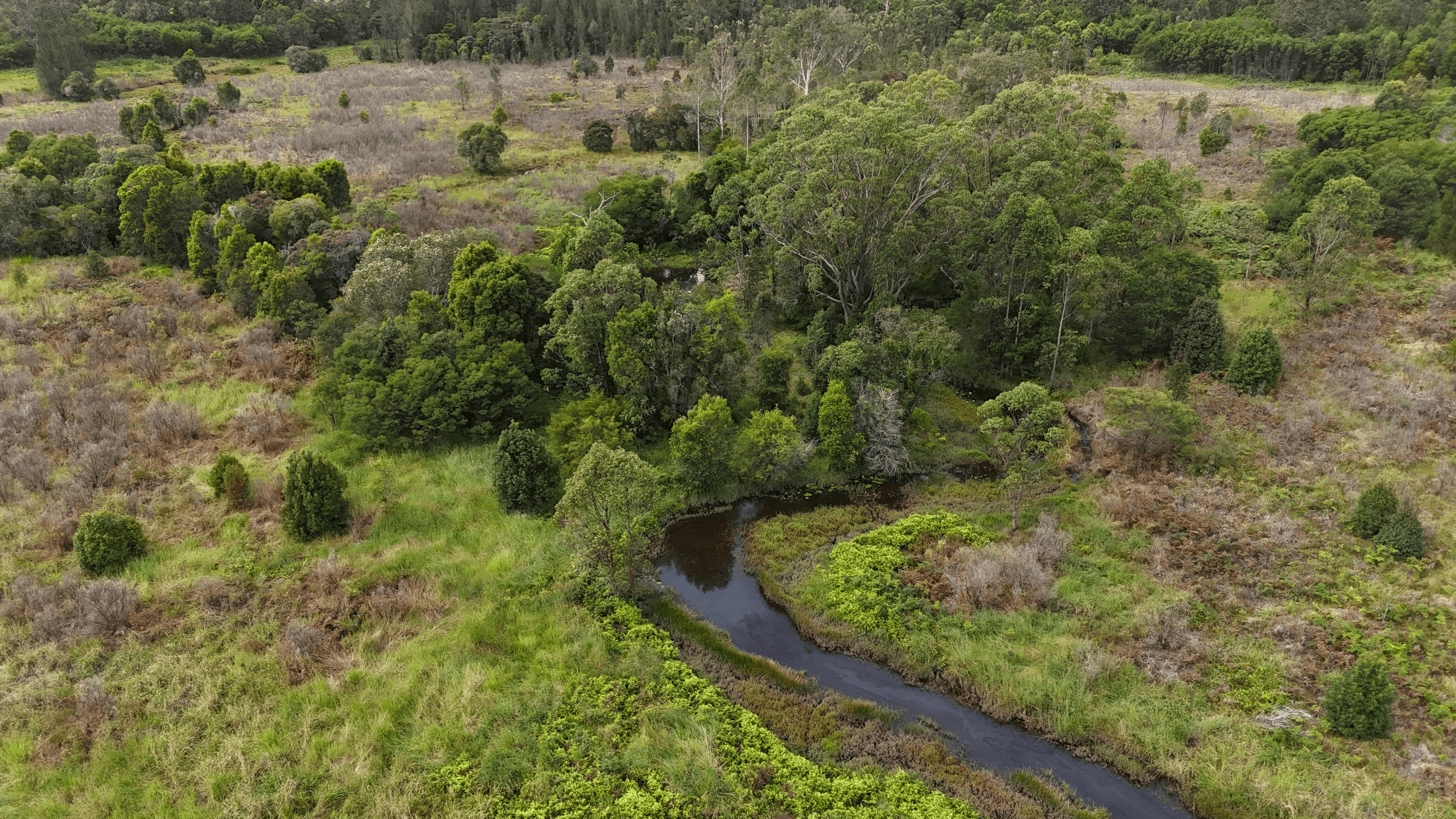 Lot 92 Tamban Road, Collombatti, NSW 2440