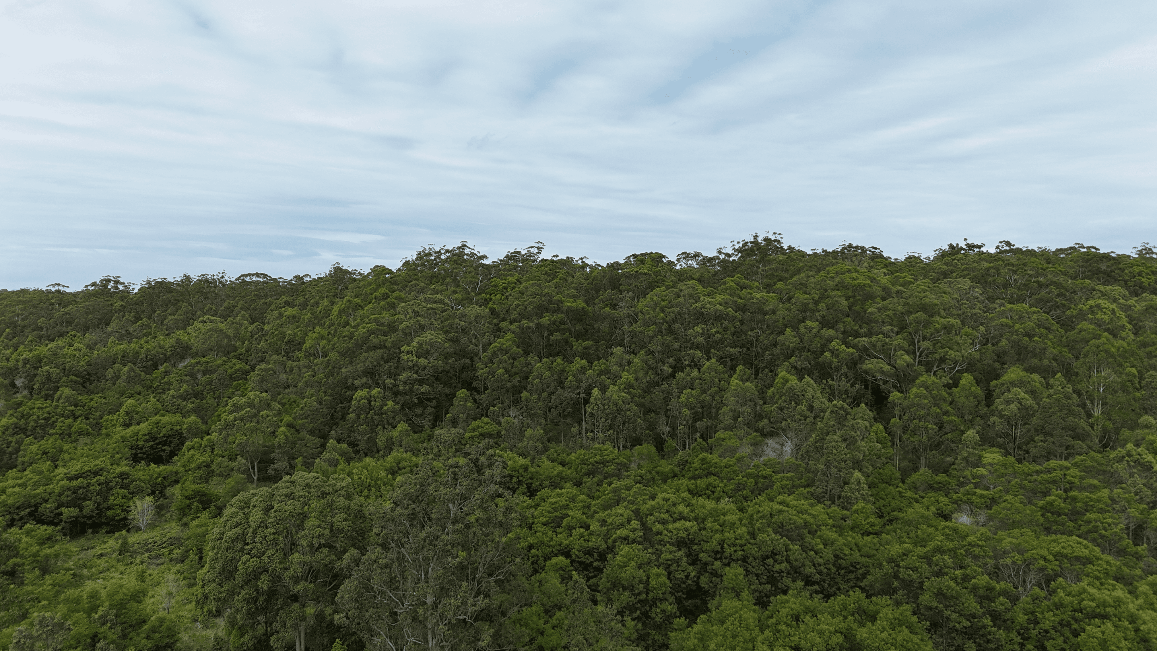 Lot 92 Tamban Road, Collombatti, NSW 2440