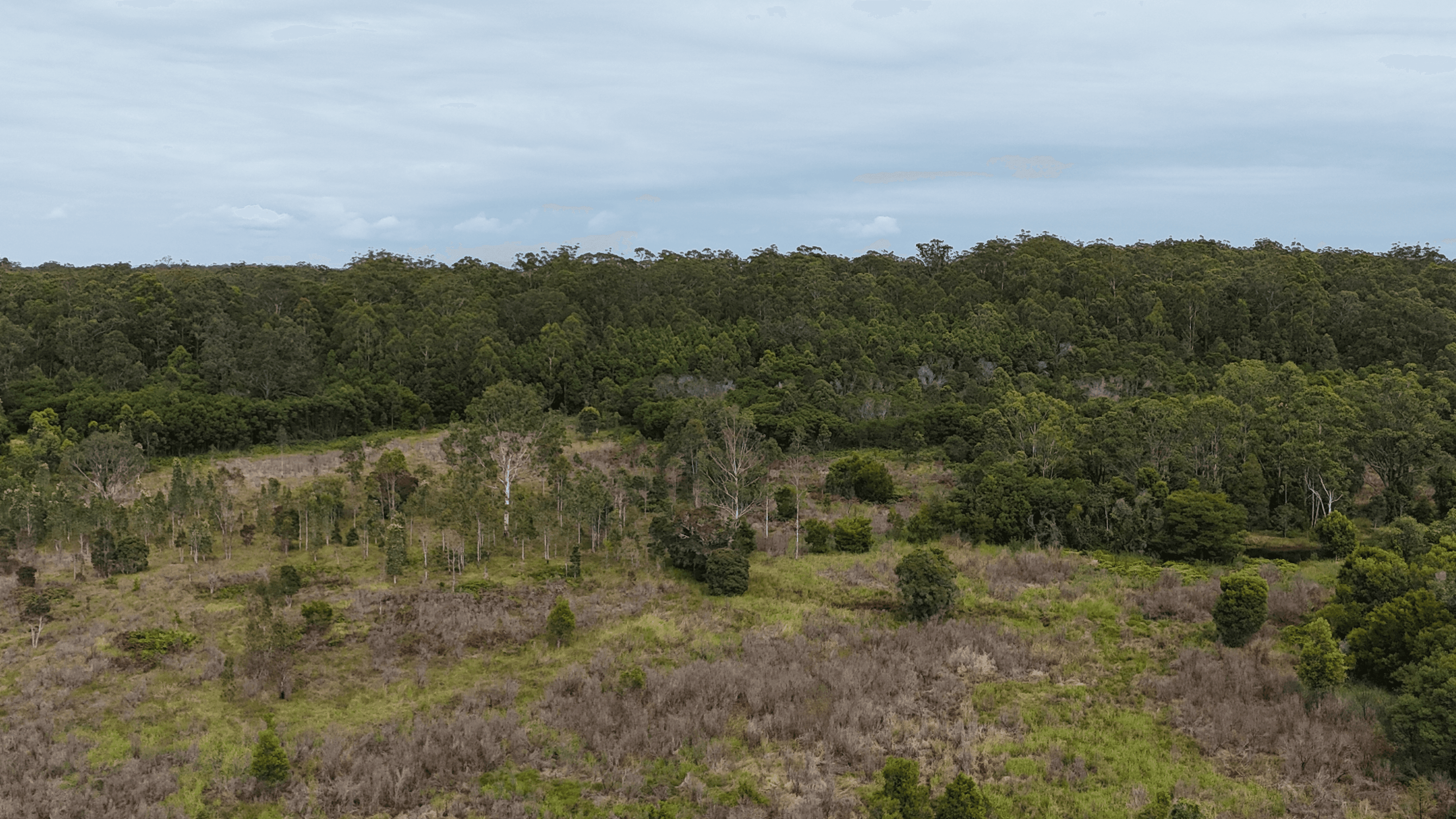 Lot 92 Tamban Road, Collombatti, NSW 2440