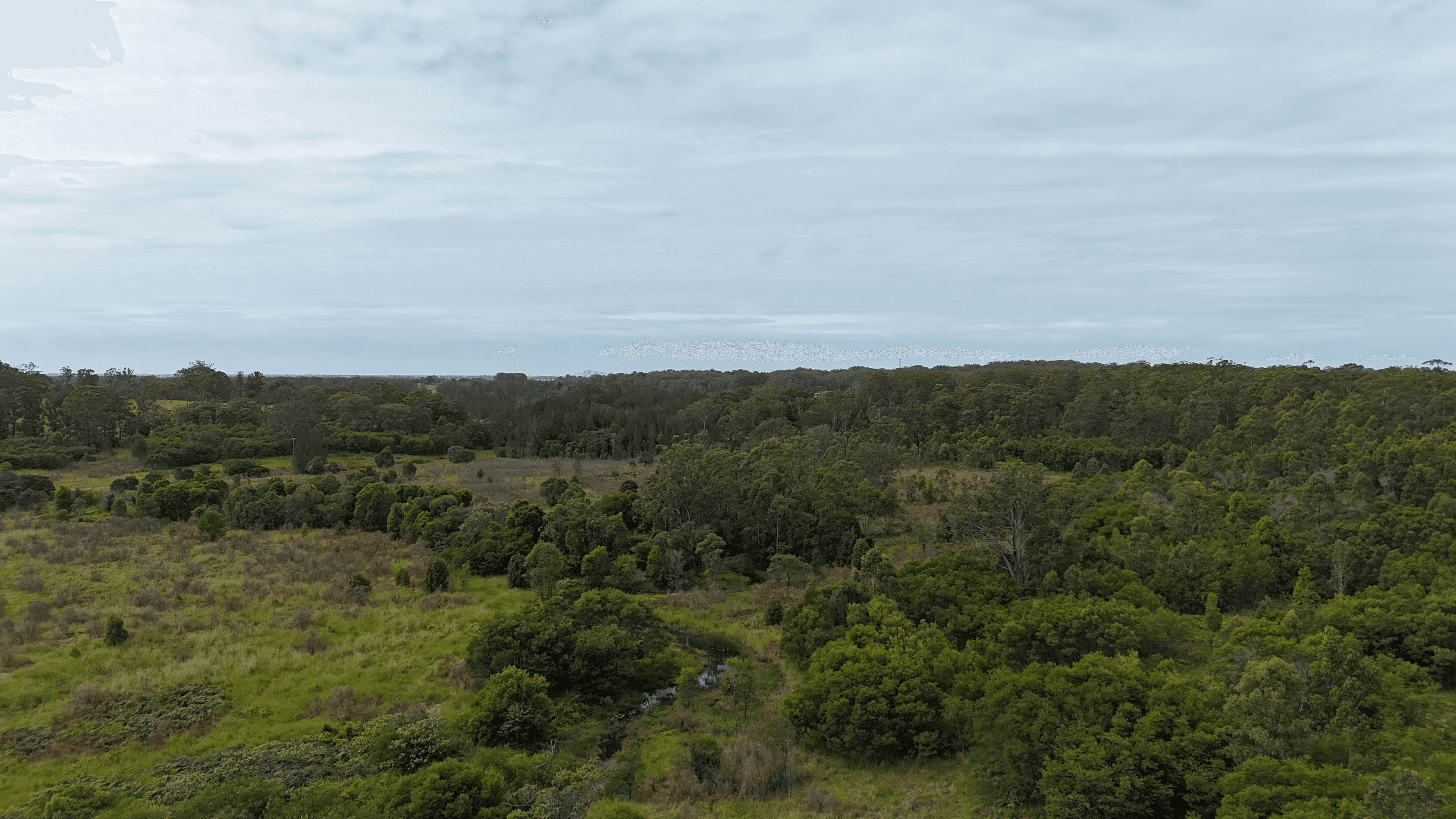 Lot 92 Tamban Road, Collombatti, NSW 2440