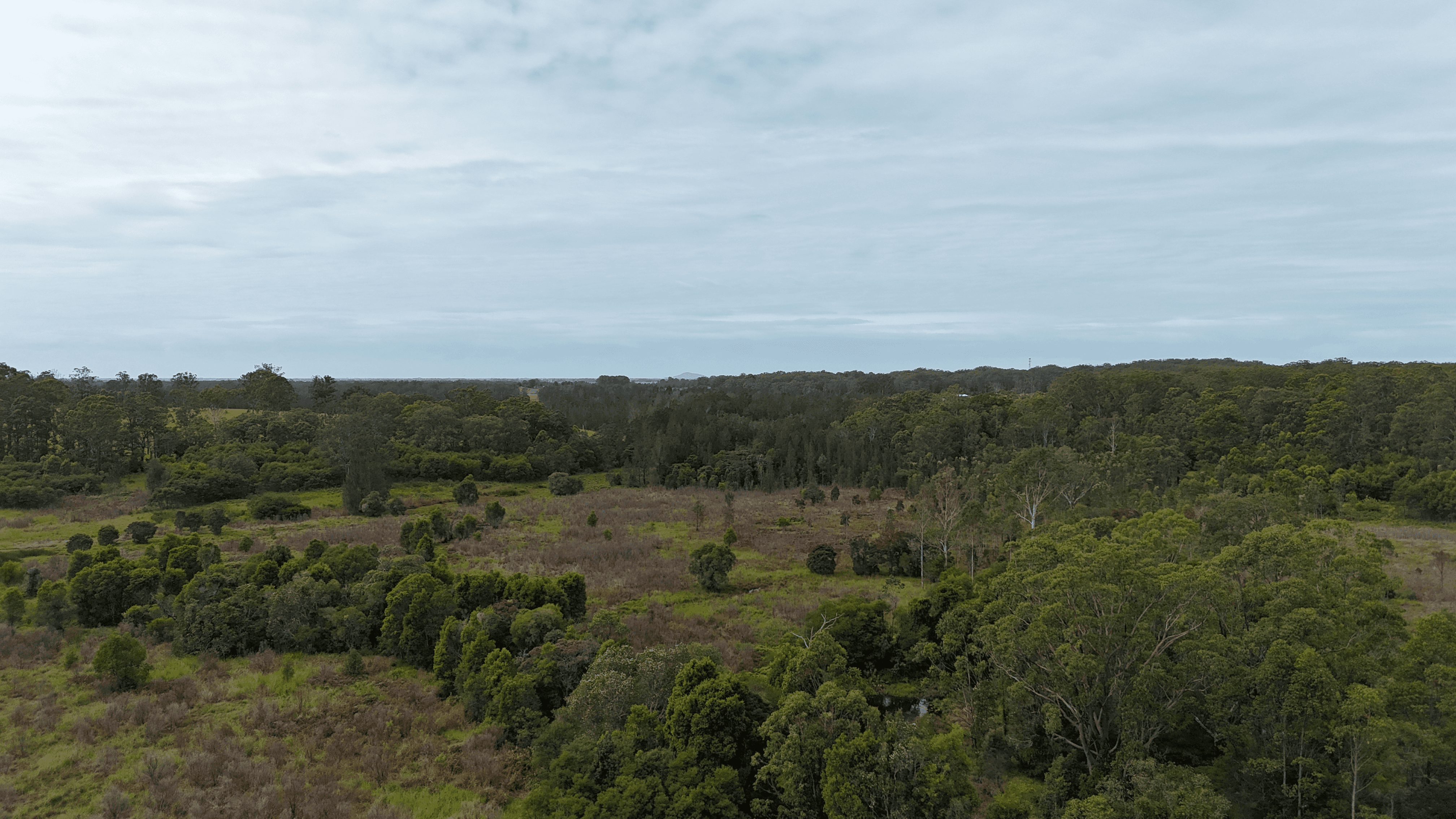 Lot 92 Tamban Road, Collombatti, NSW 2440