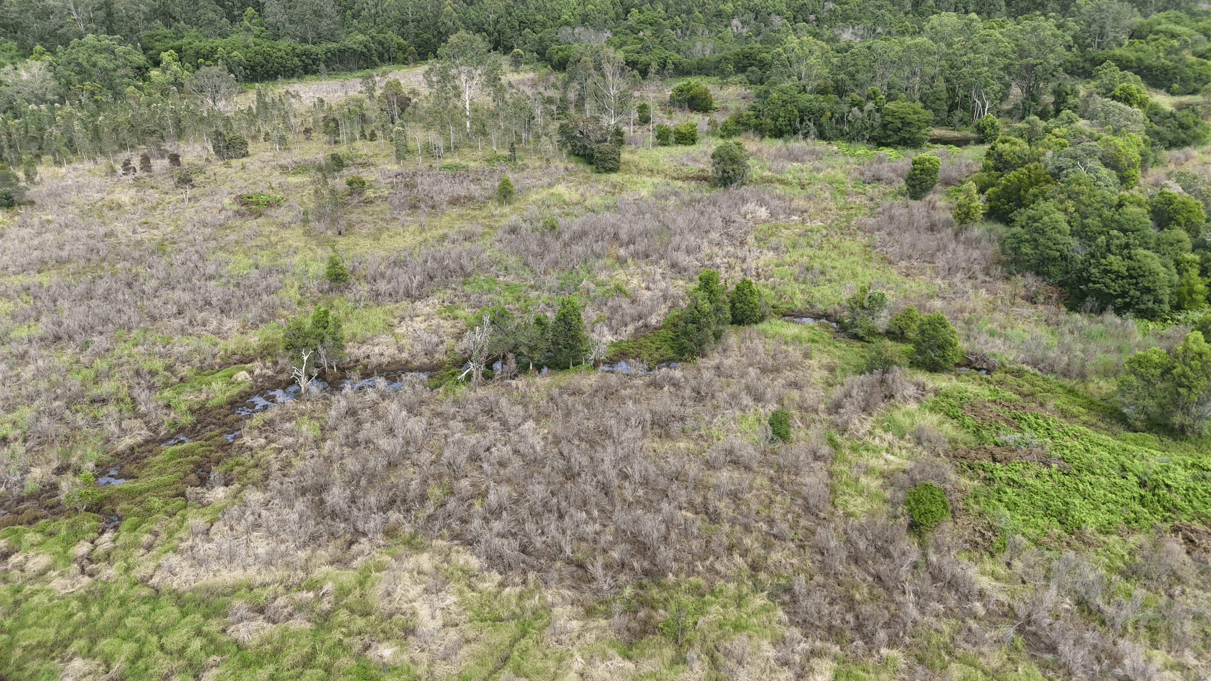 Lot 92 Tamban Road, Collombatti, NSW 2440
