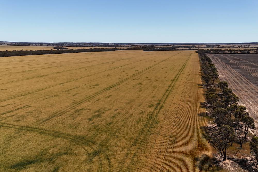 3279 Calzoni Road, Hyden, WA 6359