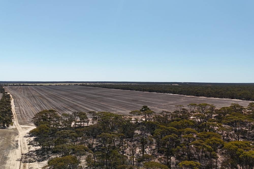 3279 Calzoni Road, Hyden, WA 6359