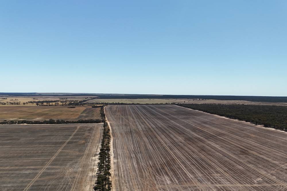3279 Calzoni Road, Hyden, WA 6359