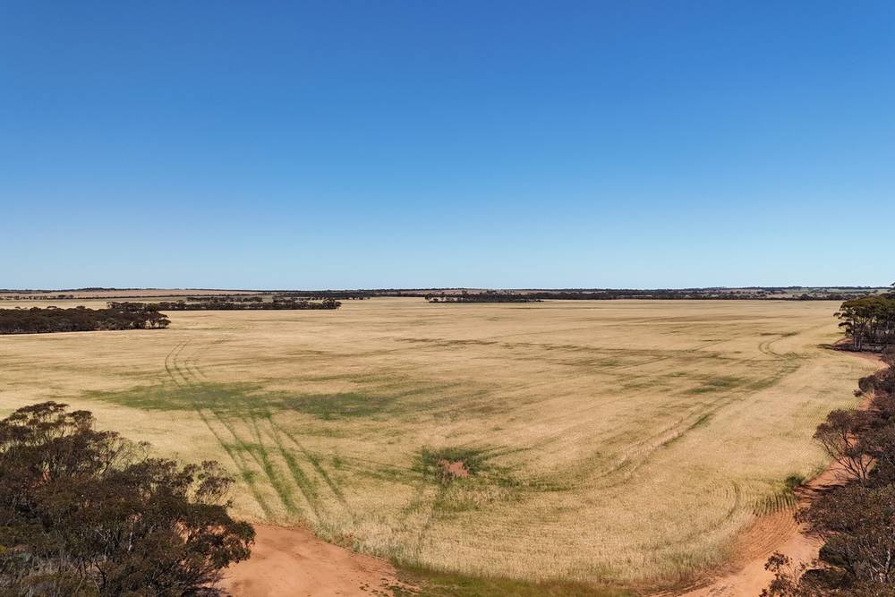 3279 Calzoni Road, Hyden, WA 6359