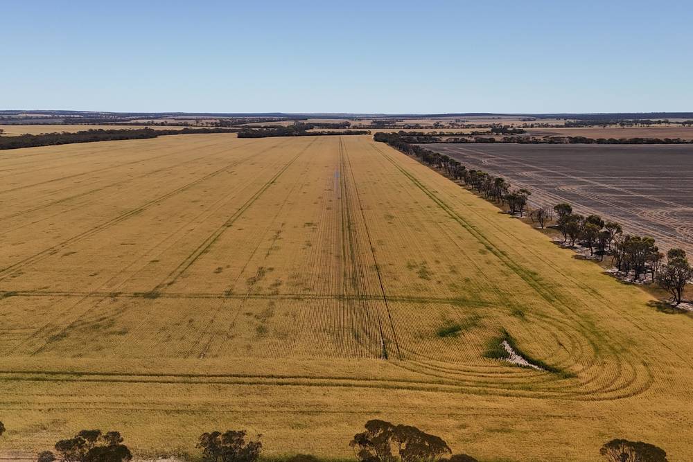 3279 Calzoni Road, Hyden, WA 6359