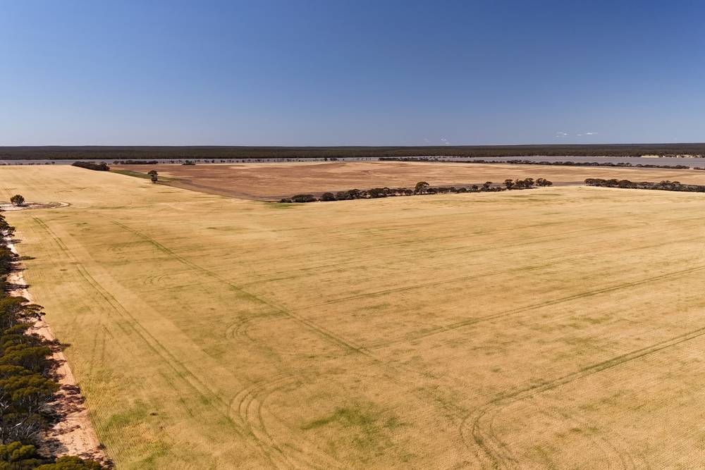 3279 Calzoni Road, Hyden, WA 6359