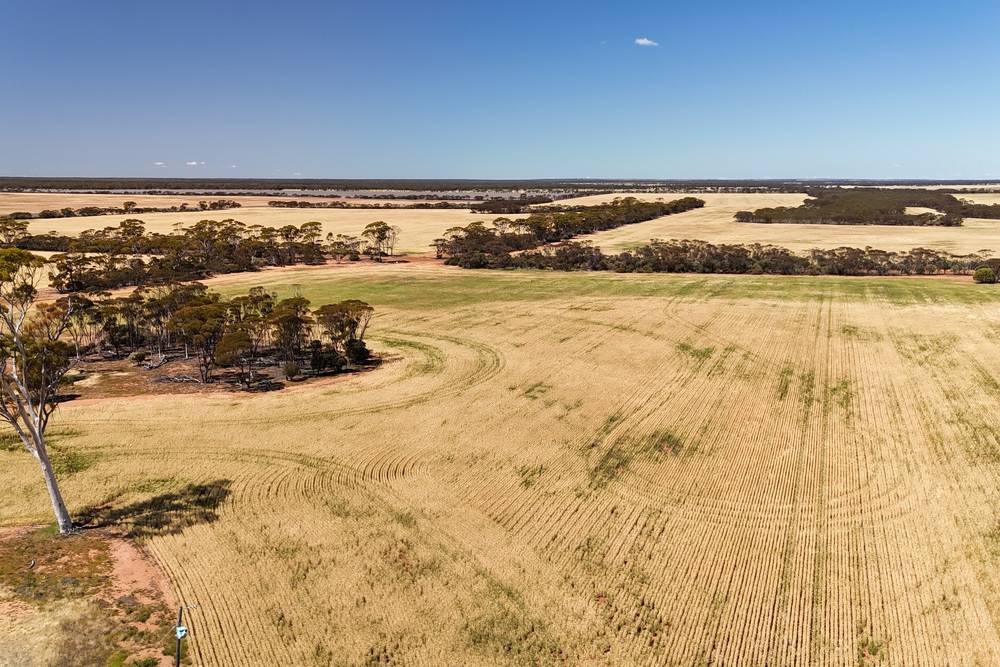 3279 Calzoni Road, Hyden, WA 6359