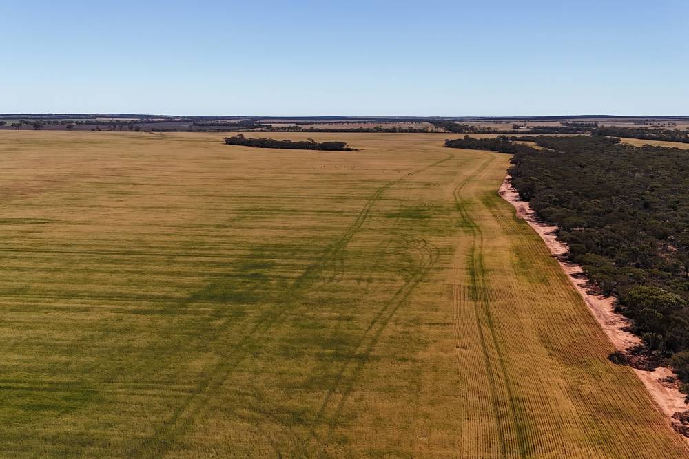 3279 Calzoni Road, Hyden, WA 6359