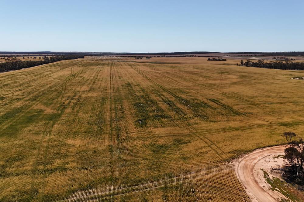 3279 Calzoni Road, Hyden, WA 6359