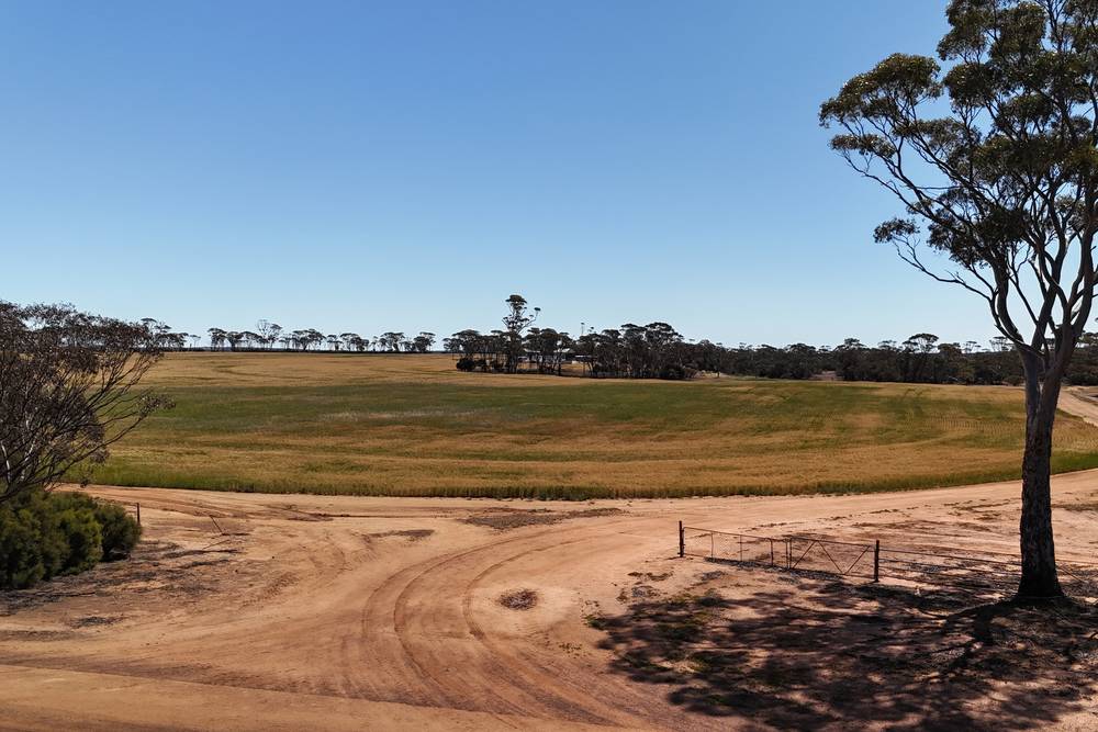 3279 Calzoni Road, Hyden, WA 6359