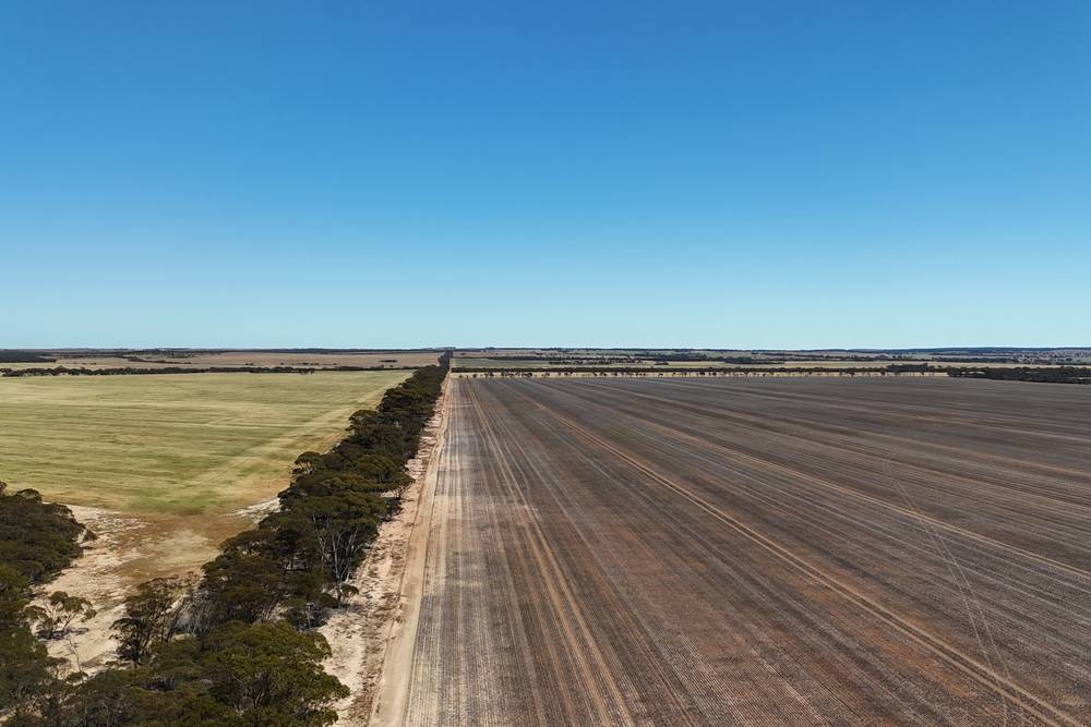 3279 Calzoni Road, Hyden, WA 6359