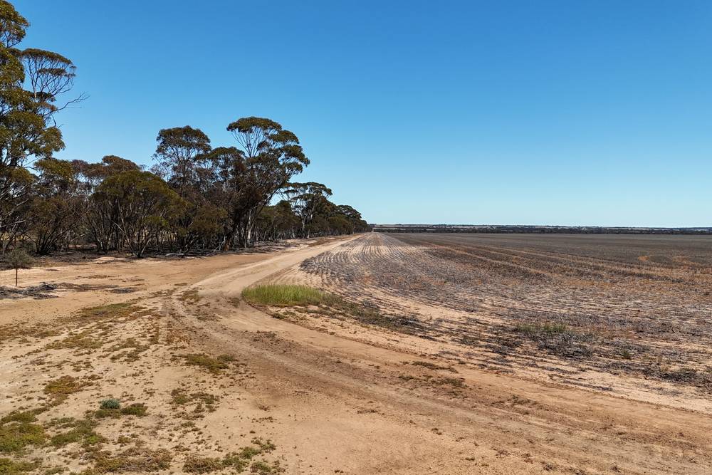 3279 Calzoni Road, Hyden, WA 6359