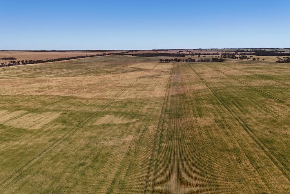 3279 Calzoni Road, Hyden, WA 6359