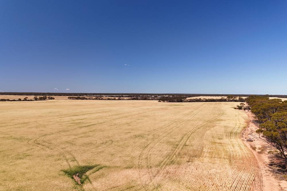 3279 Calzoni Road, Hyden, WA 6359