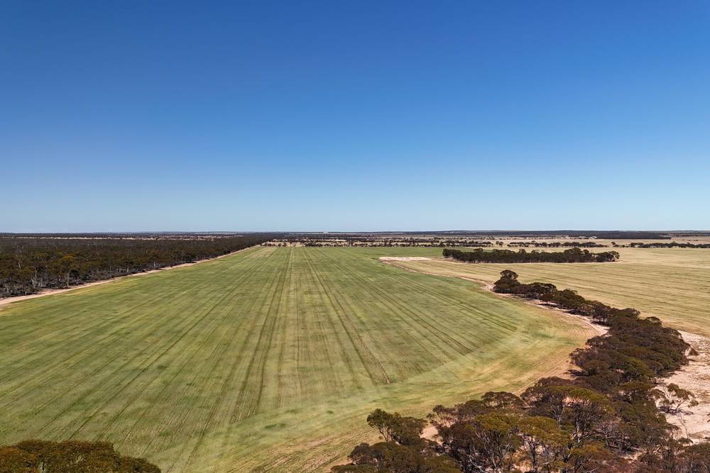 3279 Calzoni Road, Hyden, WA 6359