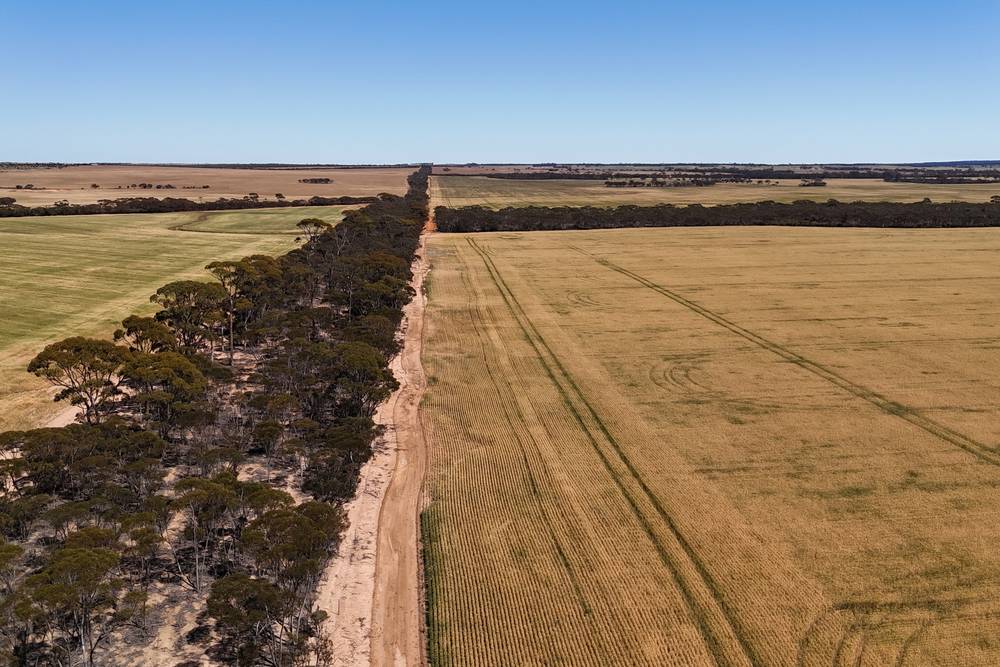 3279 Calzoni Road, Hyden, WA 6359