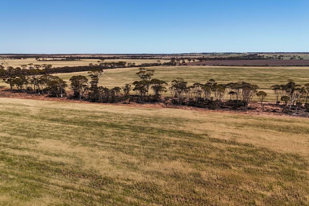 3279 Calzoni Road, Hyden, WA 6359