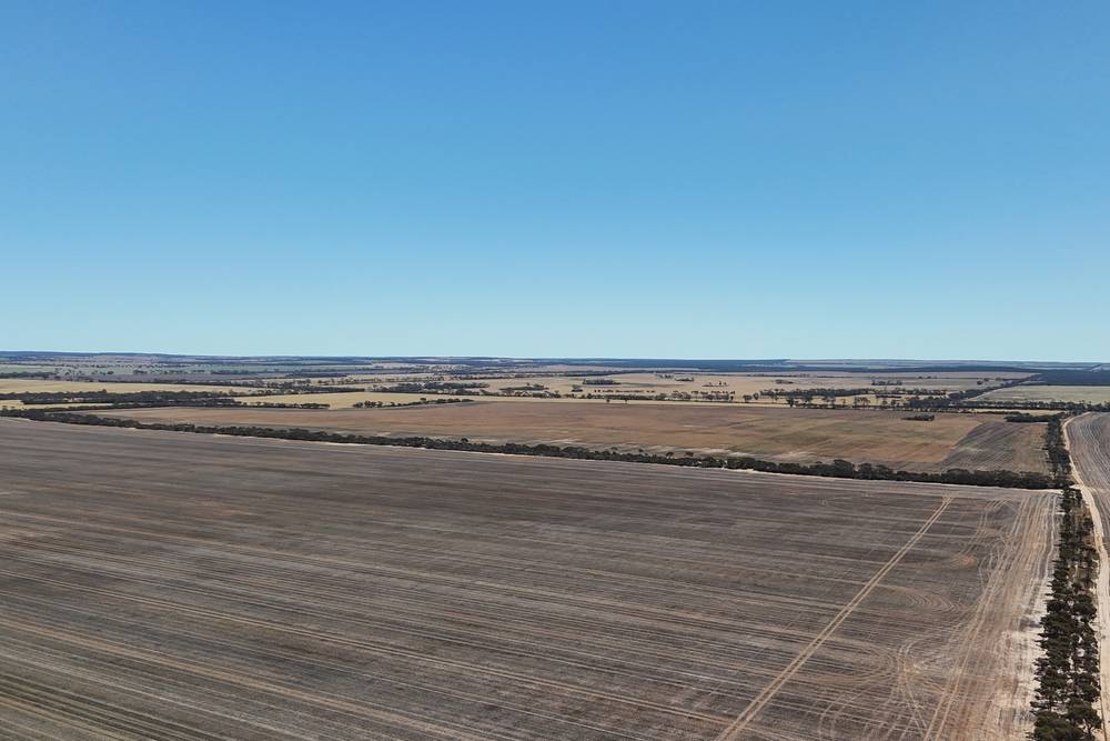 3279 Calzoni Road, Hyden, WA 6359