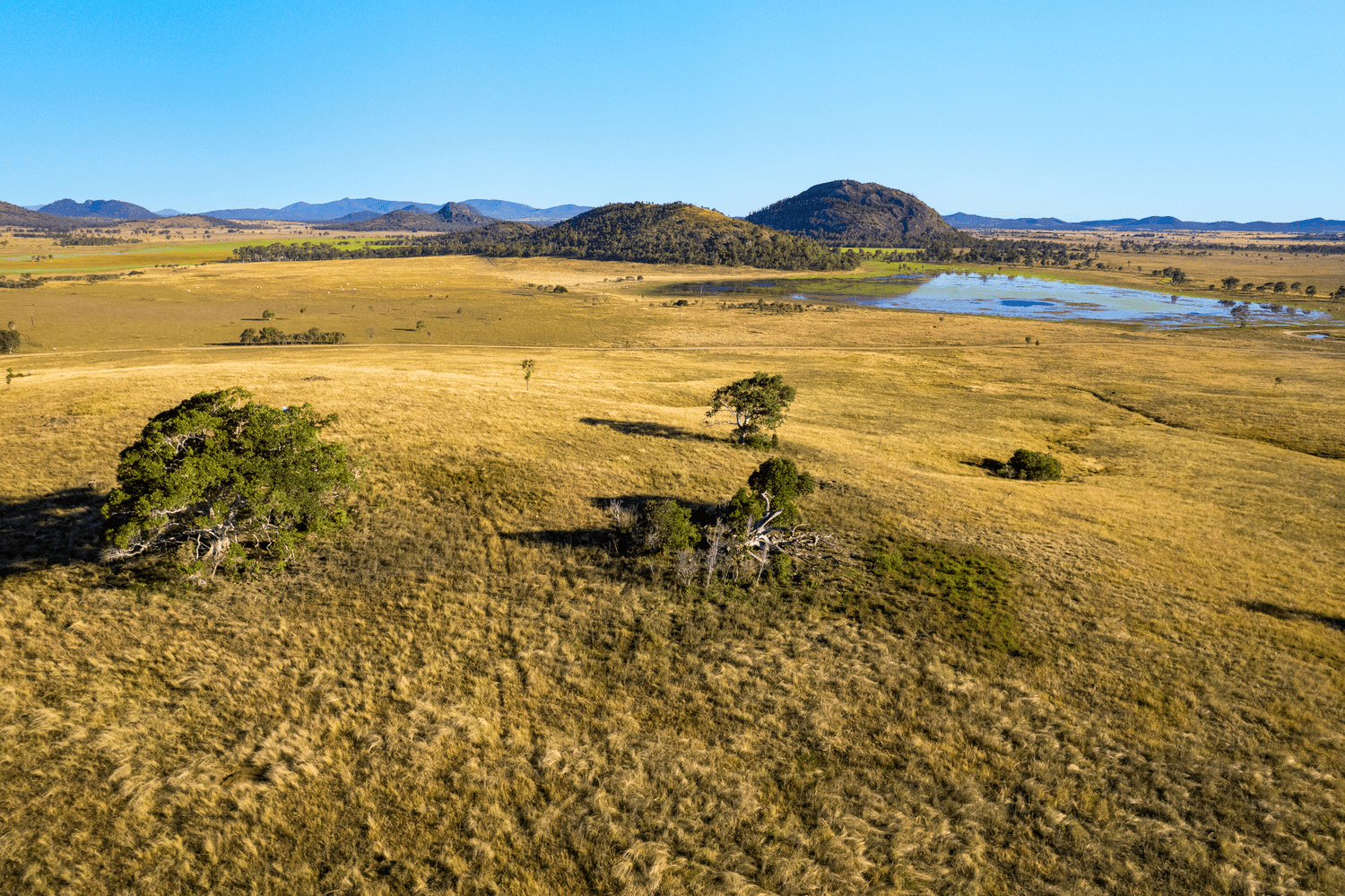 0 Serpentine Road, Barmoya, QLD 4703