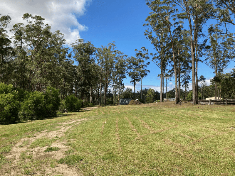 110 Myers Lane, Dondingalong, NSW 2440