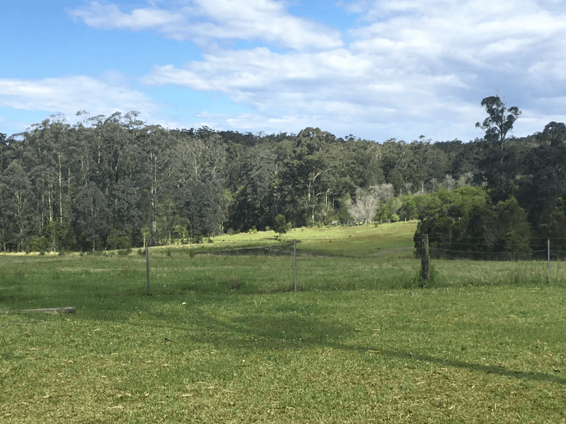 110 Myers Lane, Dondingalong, NSW 2440